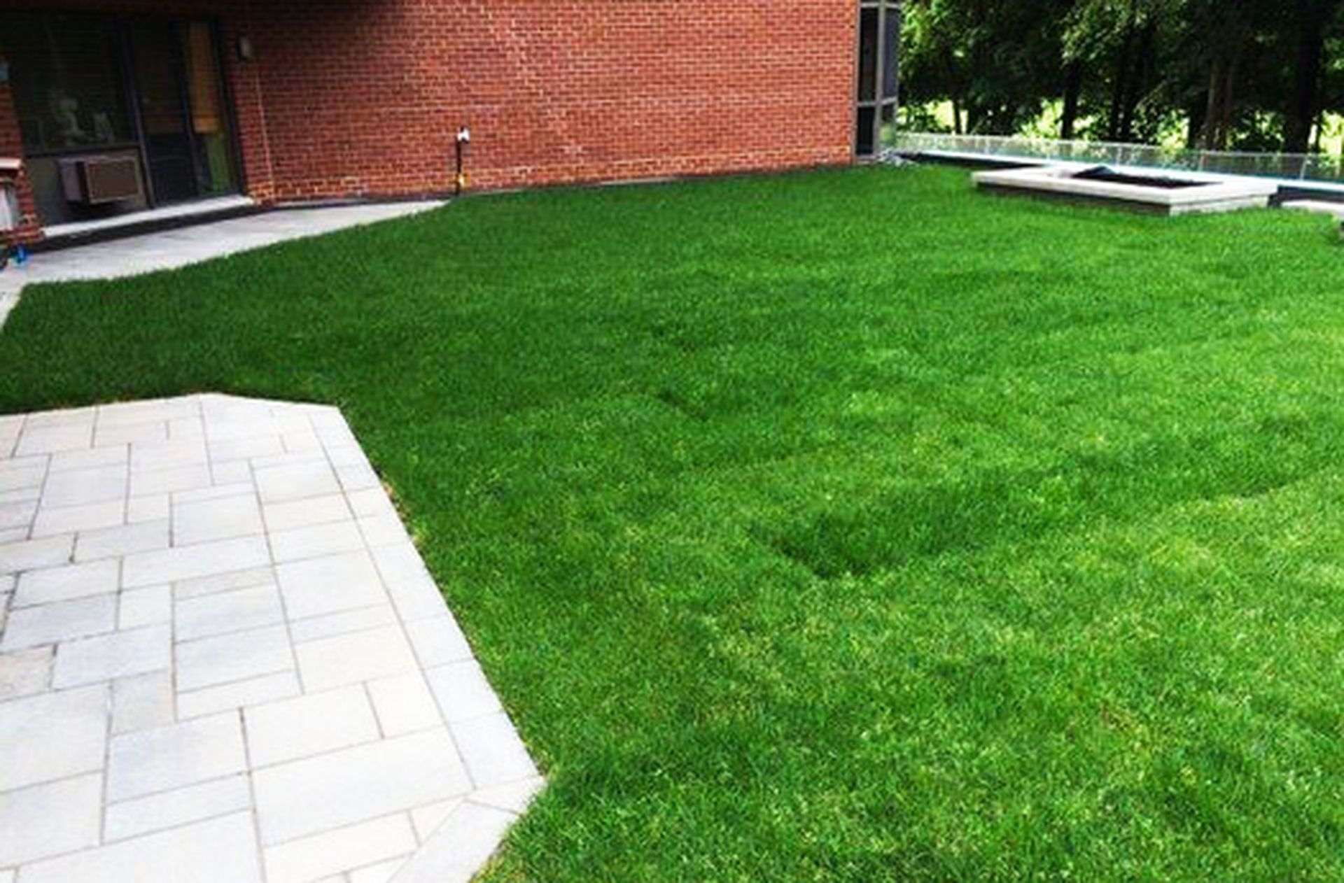 Extensive green roof covered with low-growing vegetation on an institutional building, an eco-friendly vegetated roofing solution requiring little maintenance in Quebec