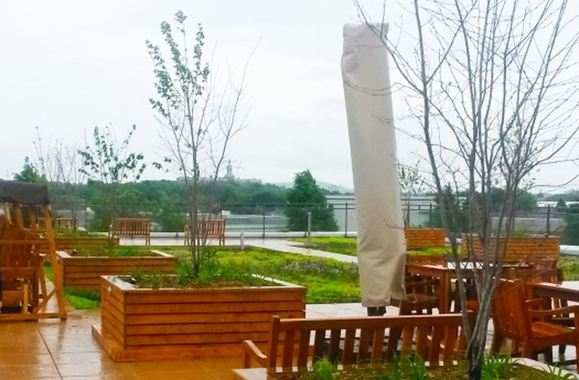 Green roof with terrace, growing beds, trees, and outdoor furniture on an urban building, an example of a residential vegetated roof in Quebec